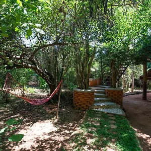 The Thick Forest Sigiriya